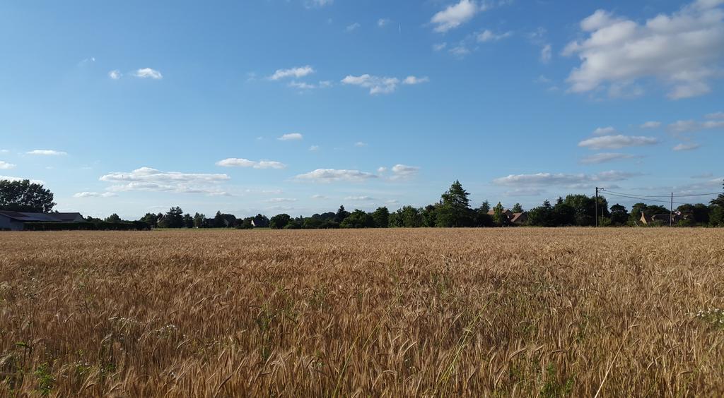 Chambres d'Hôtes La Bréachère Yvré-lʼÉvêque Exterior foto